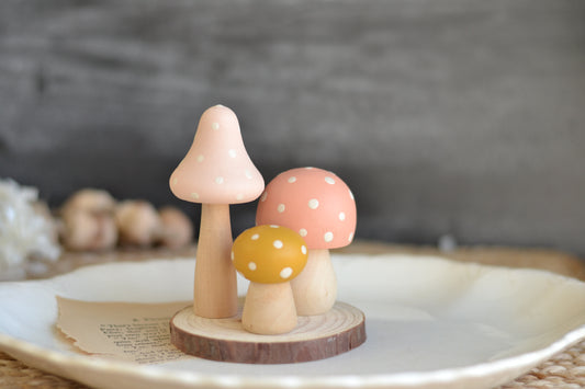 Paint Your Own Mushroom Set