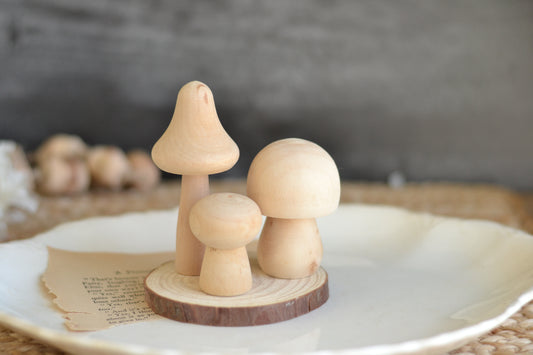 Paint Your Own Mushroom Set
