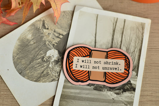 Yarn Magnet! I will not shrink orange magnet