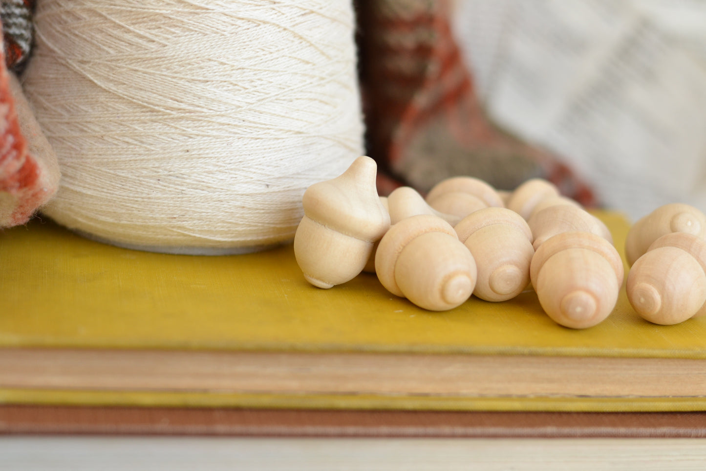 Unpainted Wood Acorns - Set of 10