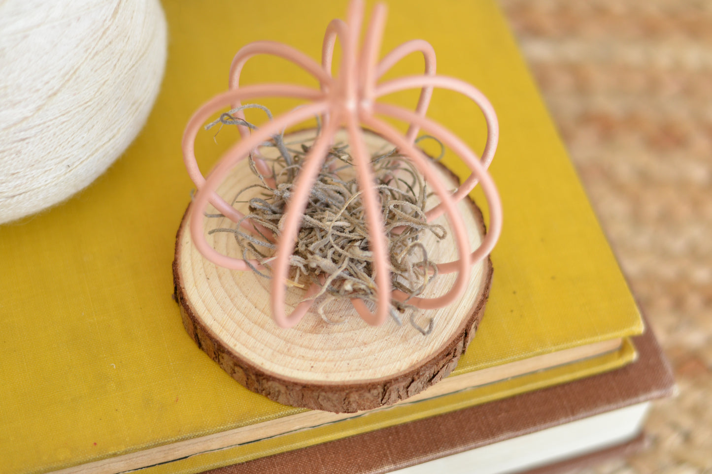 Dusty Pink Pumpkin on Log Slice