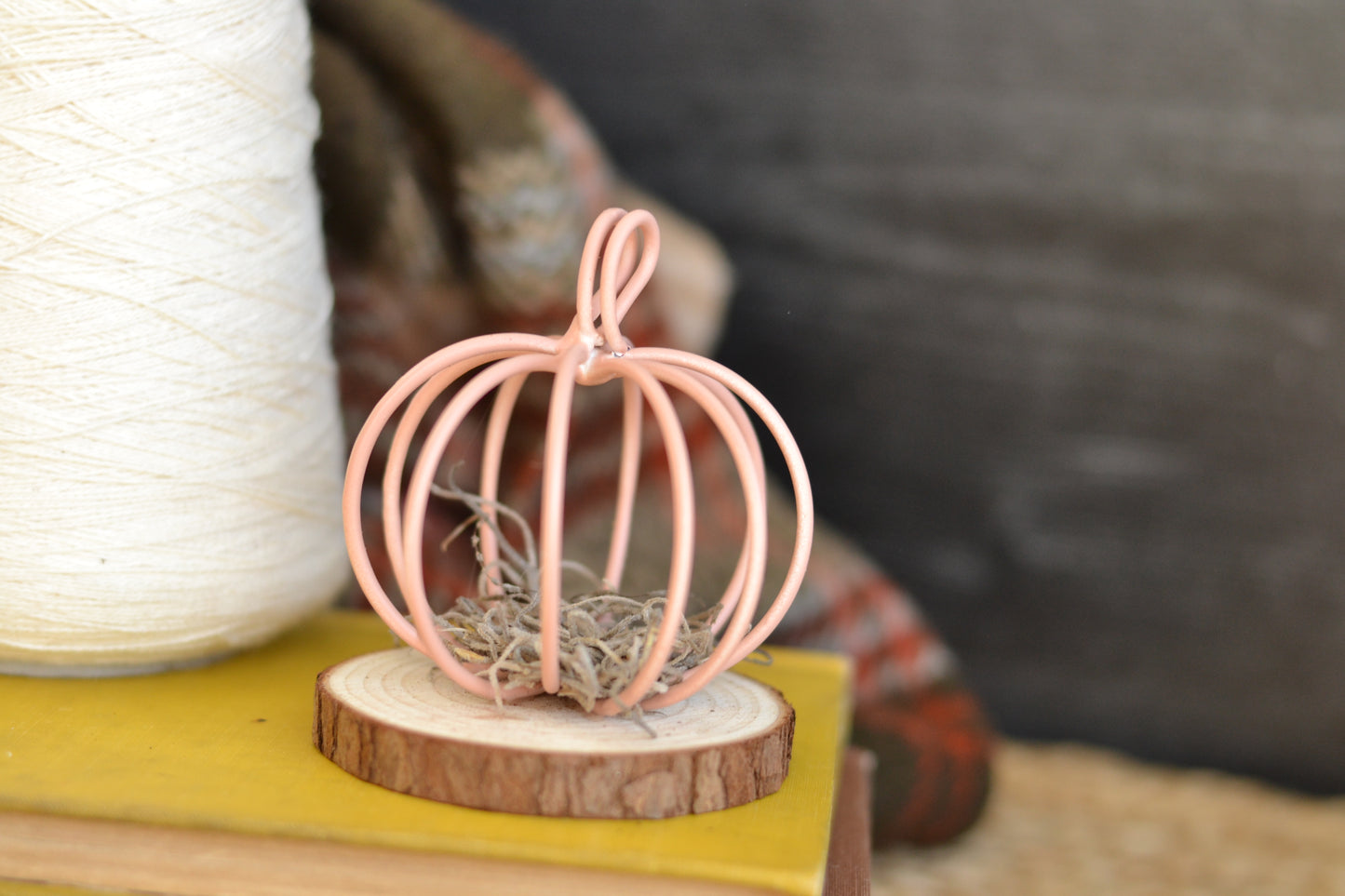 Dusty Pink Pumpkin on Log Slice