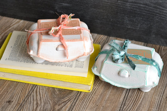 Egg Carton - SET OF TWO