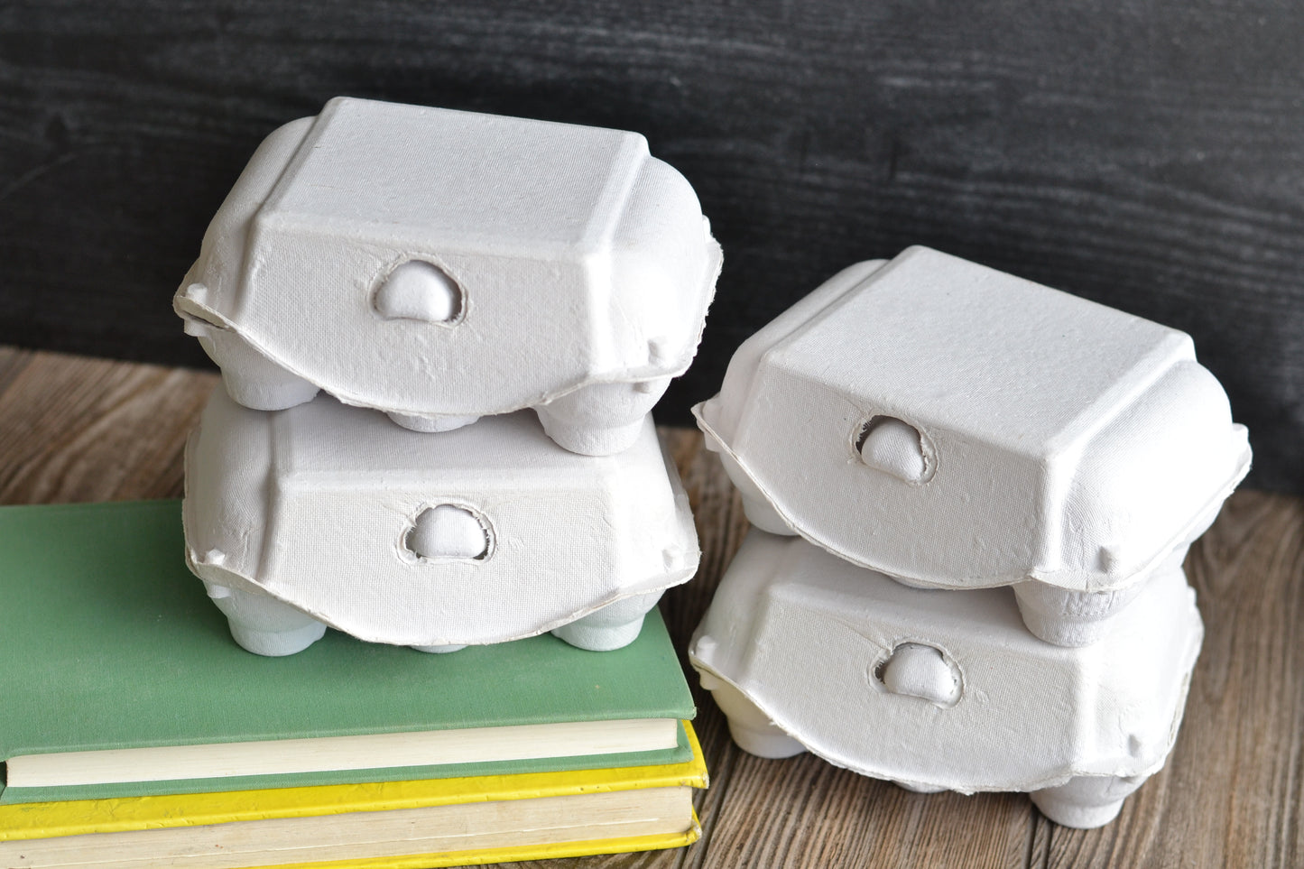 Blank Egg Cartons - SET OF FOUR - Ready for personalization by YOU